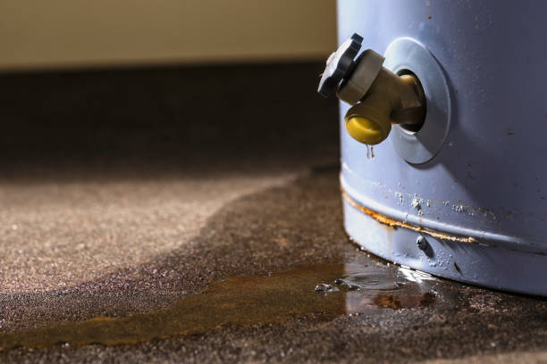 Best Basement water damage restoration  in Fox Island, WA