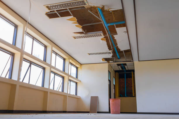 Best Flood damage cleanup  in Fox Island, WA