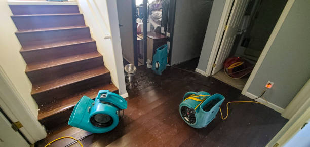 Best 24-hour water damage restoration  in Fox Island, WA