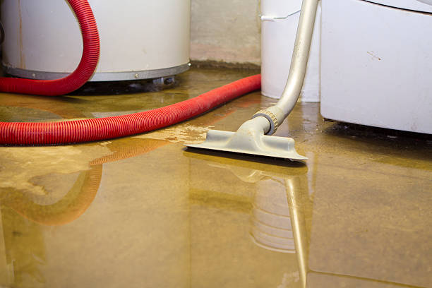 Best Commercial water damage restoration  in Fox Island, WA